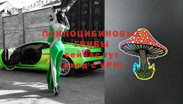 хмурый Заводоуковск